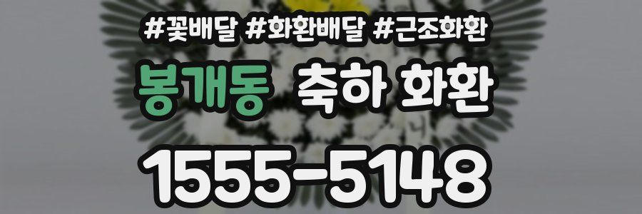 봉개동 축하 화환