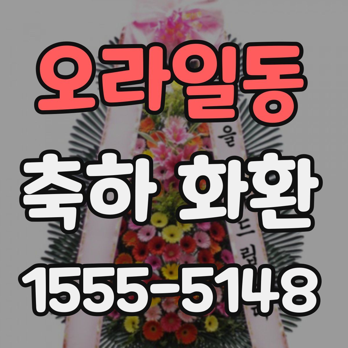 오라일동 축하 화환