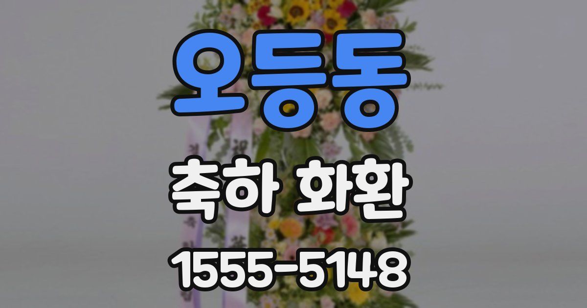 오등동 축하 화환
