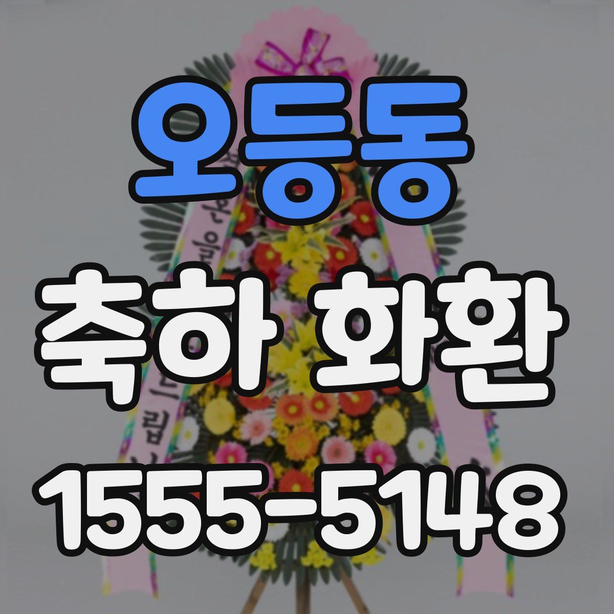 오등동 축하 화환