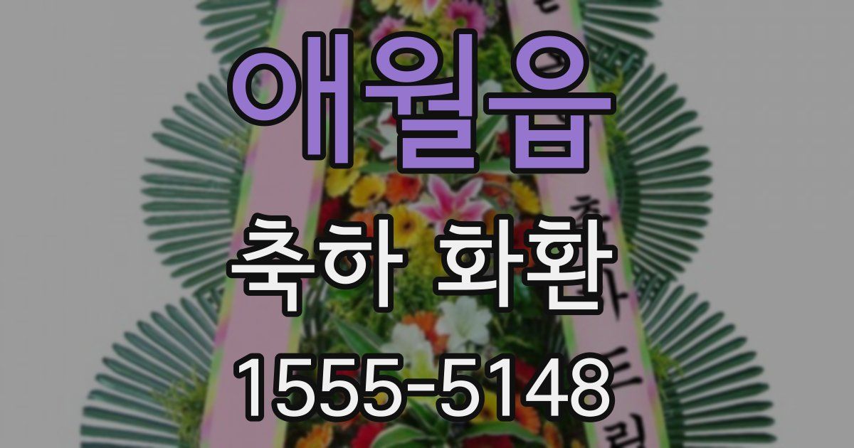 애월읍 축하 화환