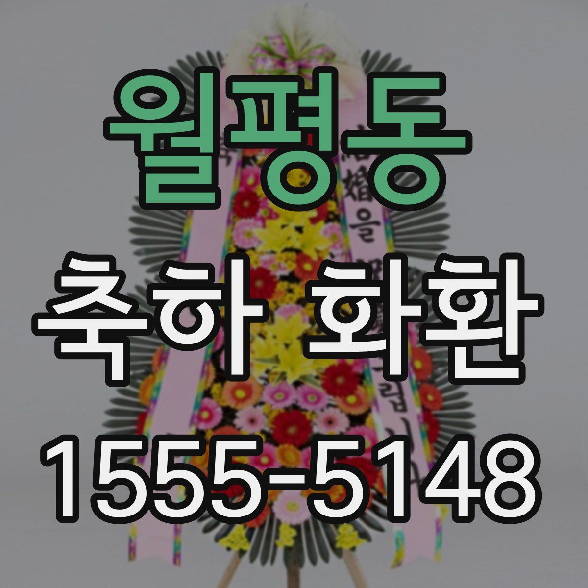 월평동 축하 화환