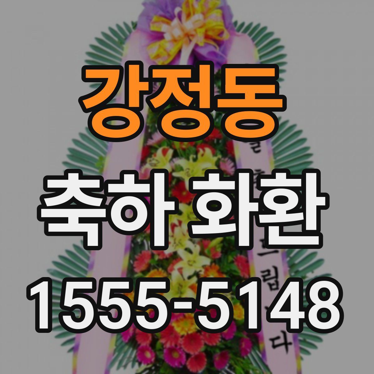 강정동 축하 화환