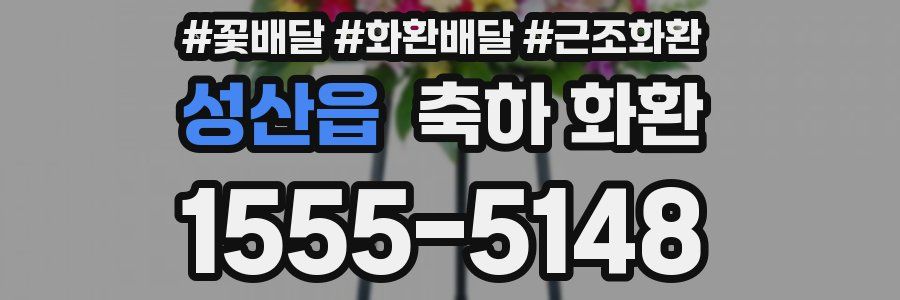 성산읍 축하 화환