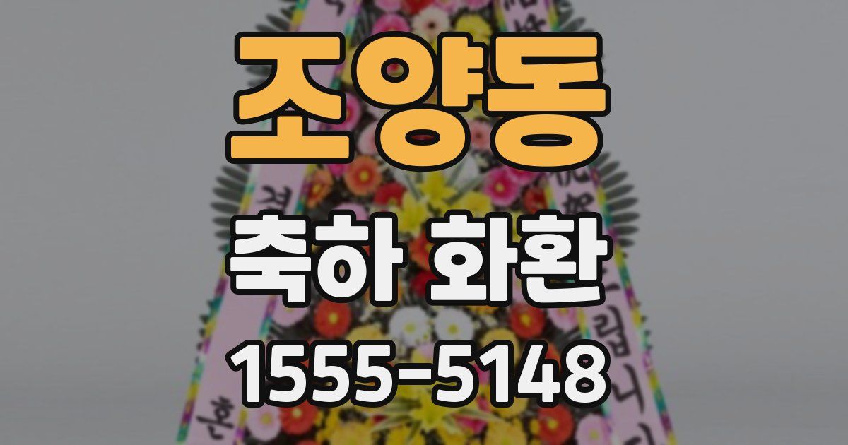 조양동 축하 화환