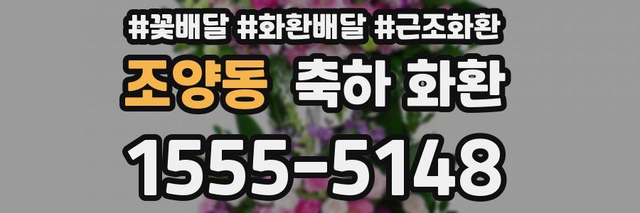 조양동 축하 화환