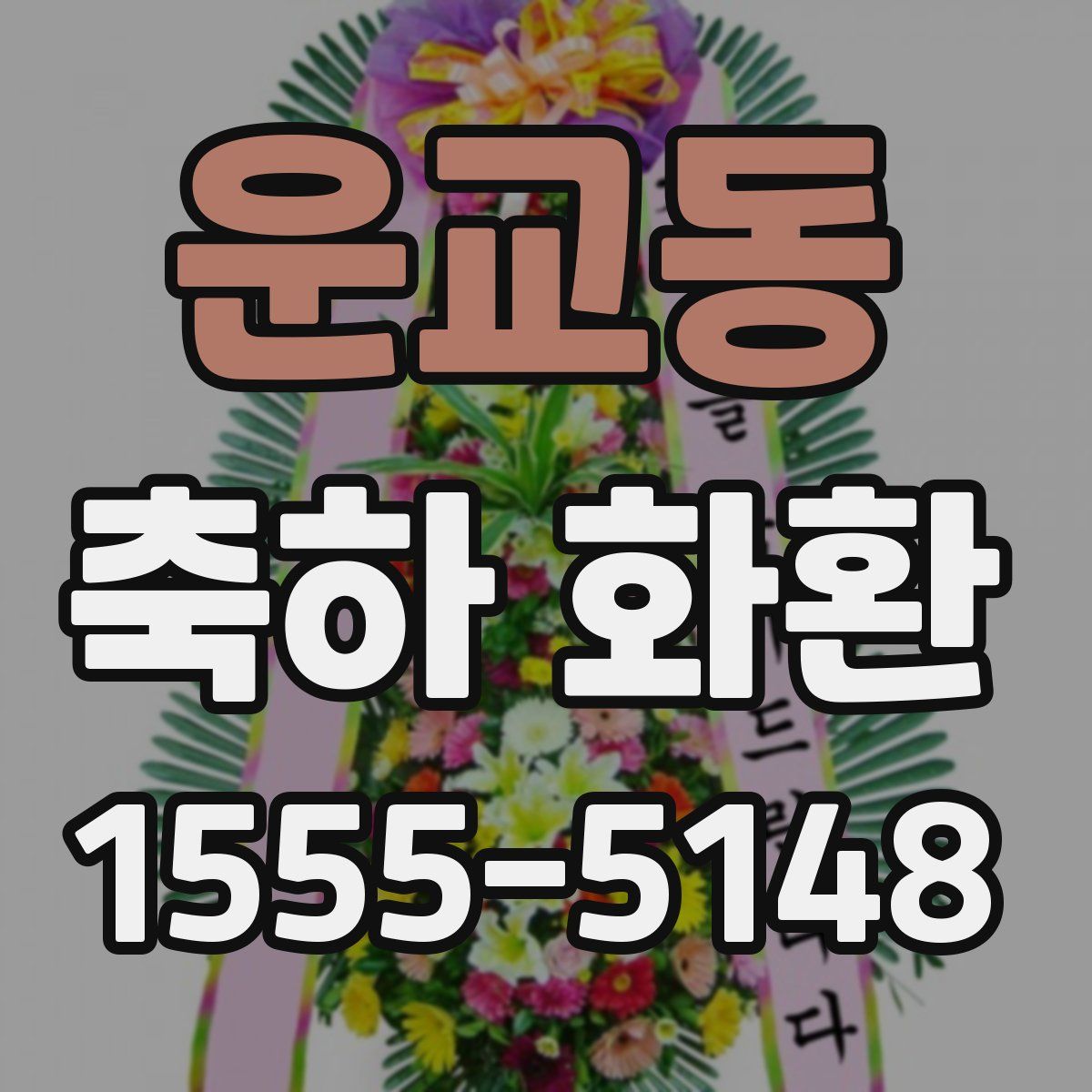 운교동 축하 화환
