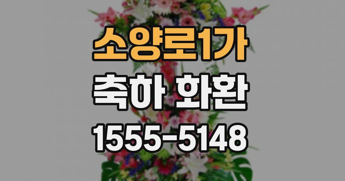 소양로1가 축하 화환