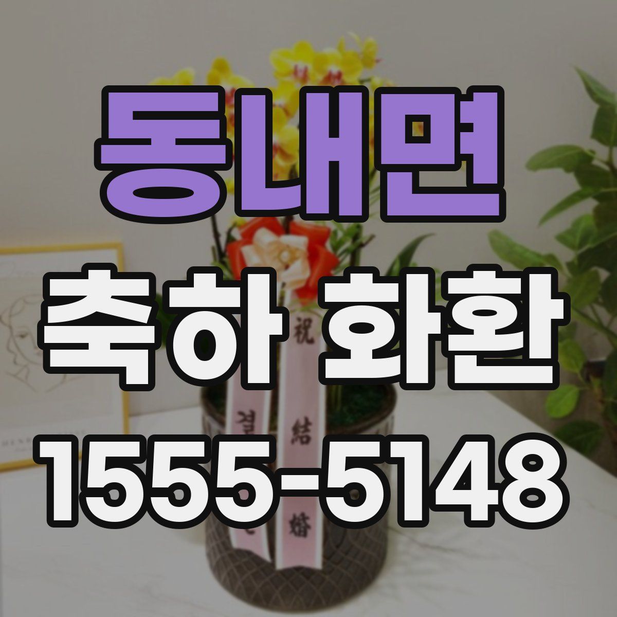동내면 축하 화환