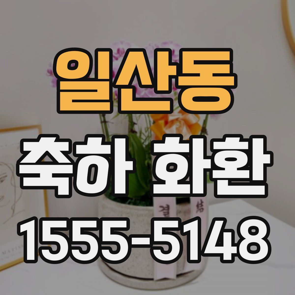 일산동 축하 화환