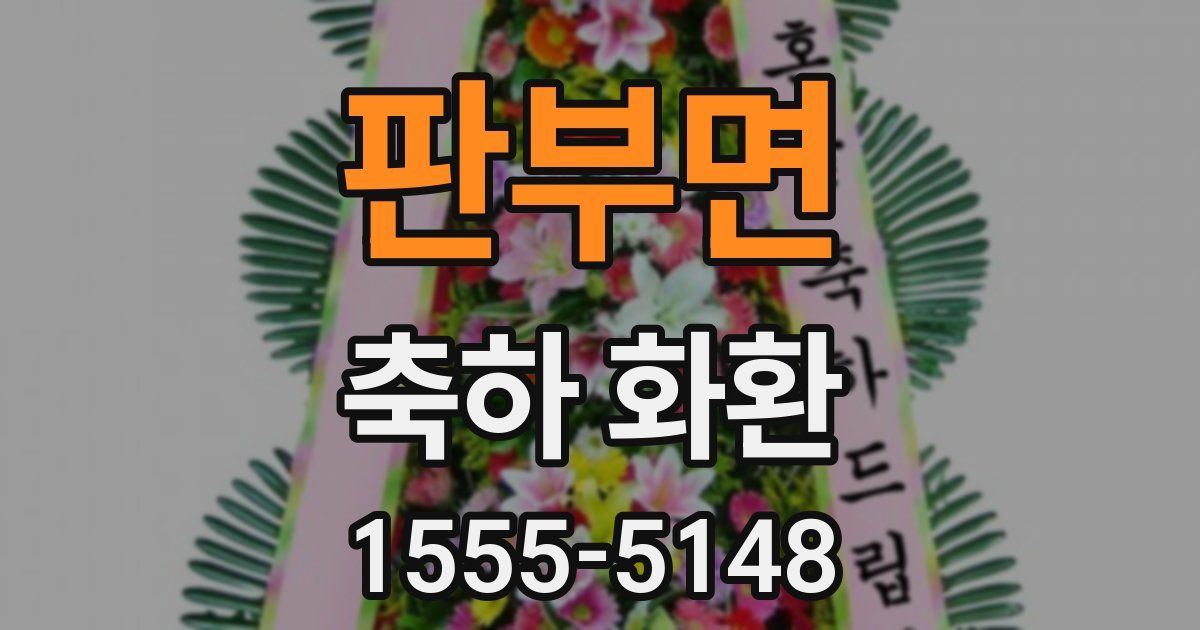 판부면 축하 화환