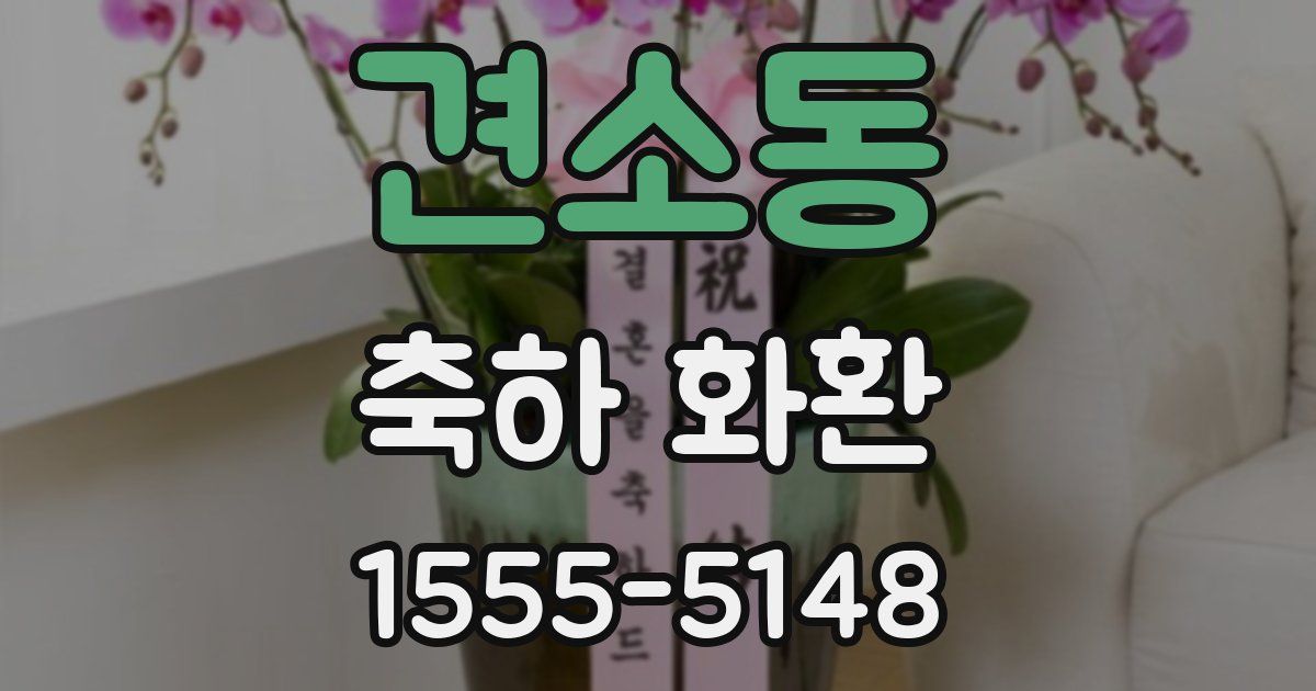 견소동 축하 화환