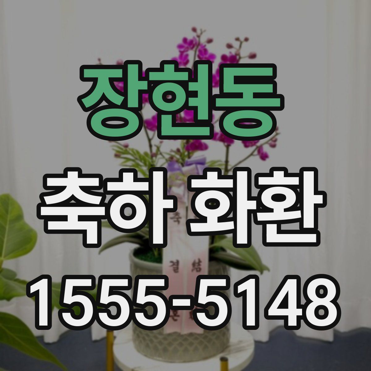 장현동 축하 화환