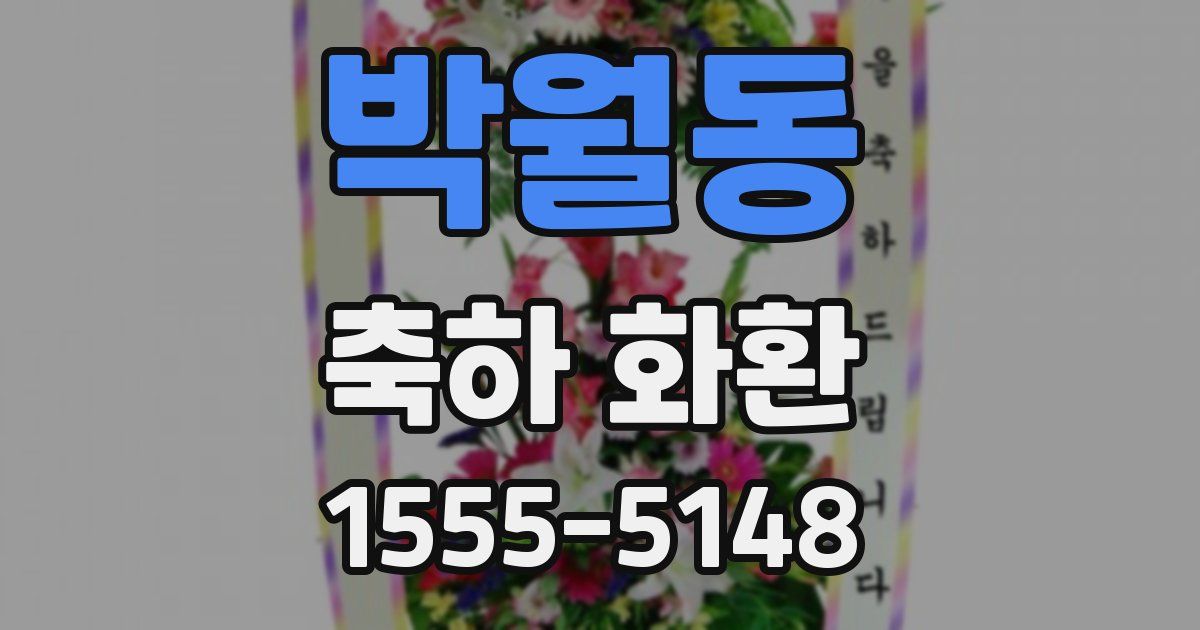 박월동 축하 화환