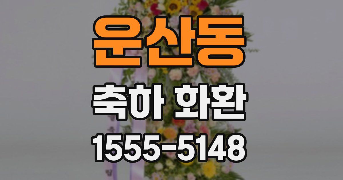 운산동 축하 화환