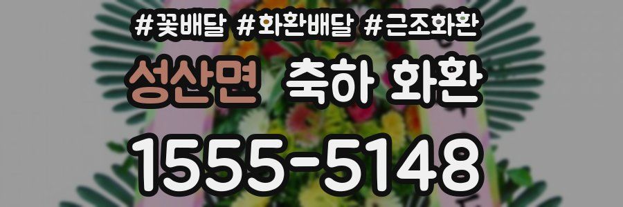 성산면 축하 화환