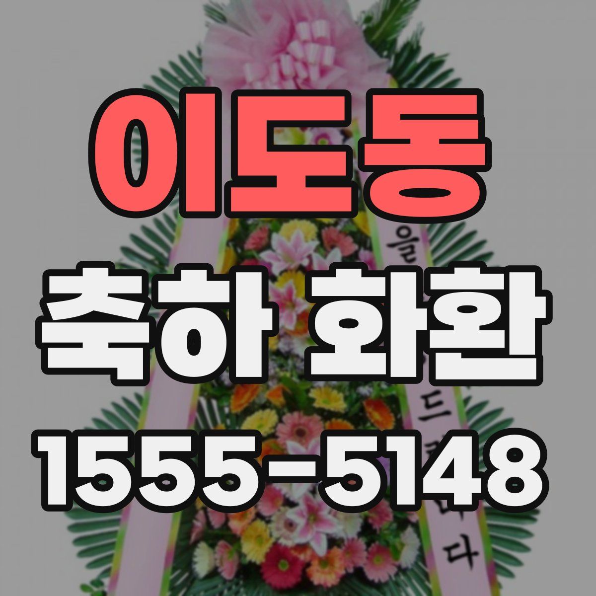 이도동 축하 화환