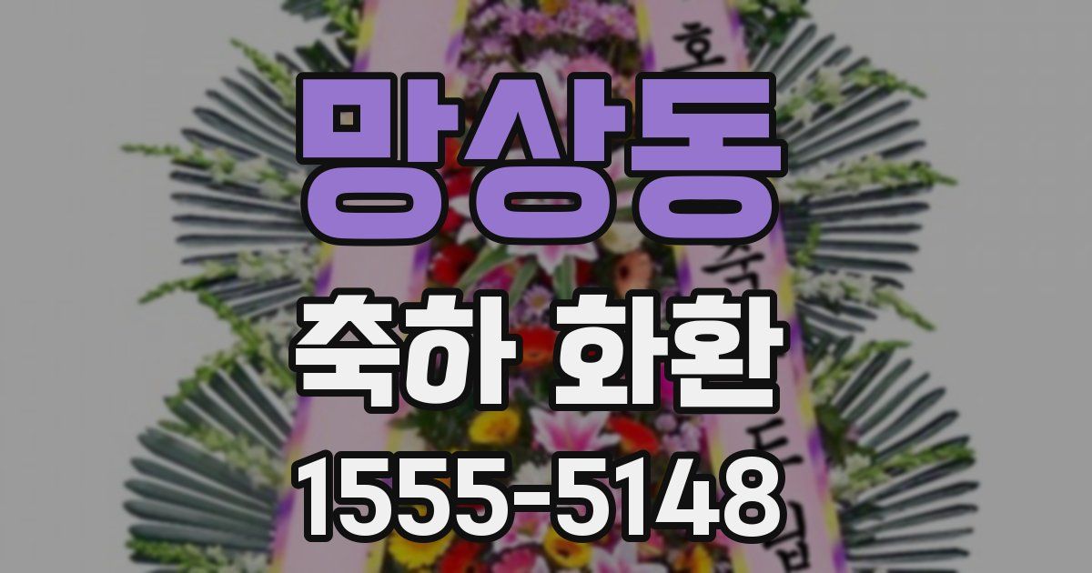 망상동 축하 화환