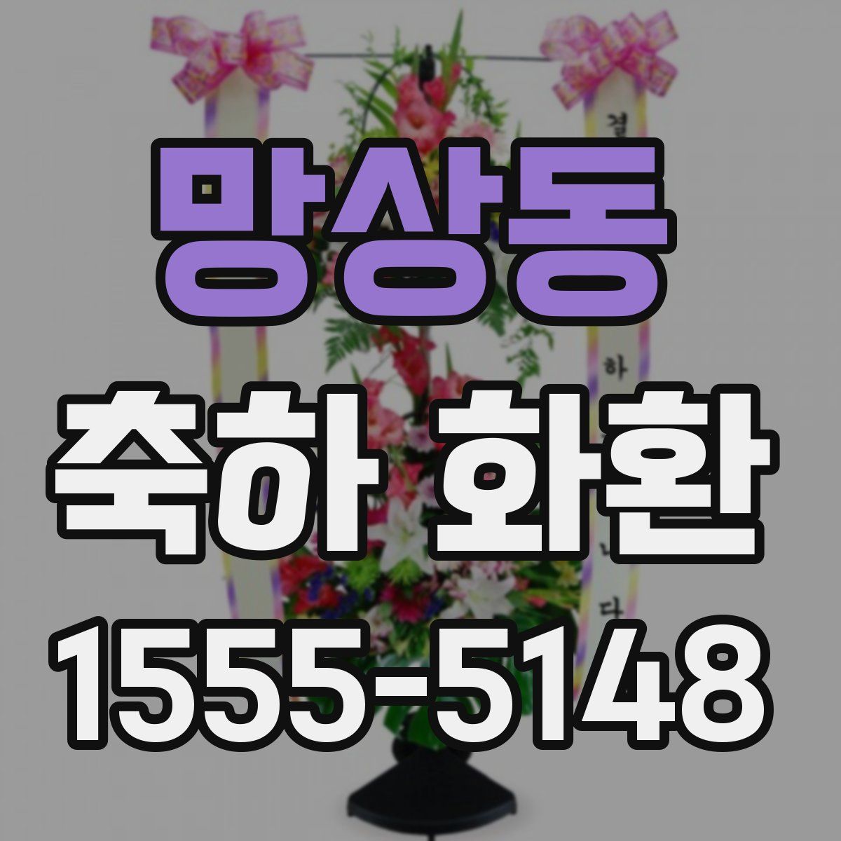 망상동 축하 화환