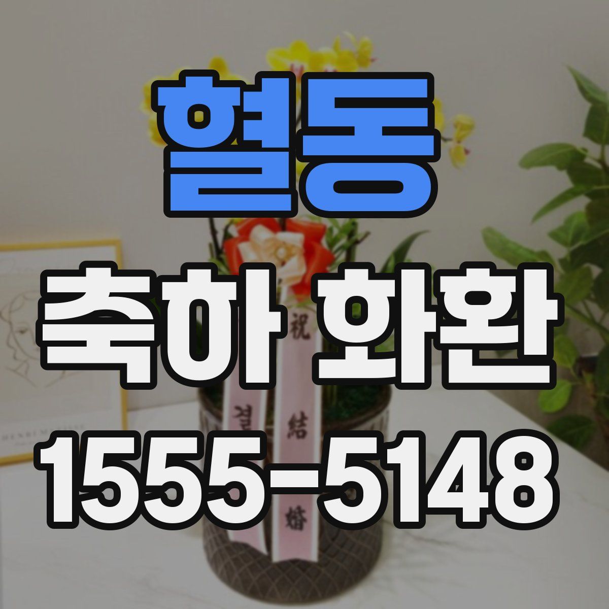 혈동 축하 화환