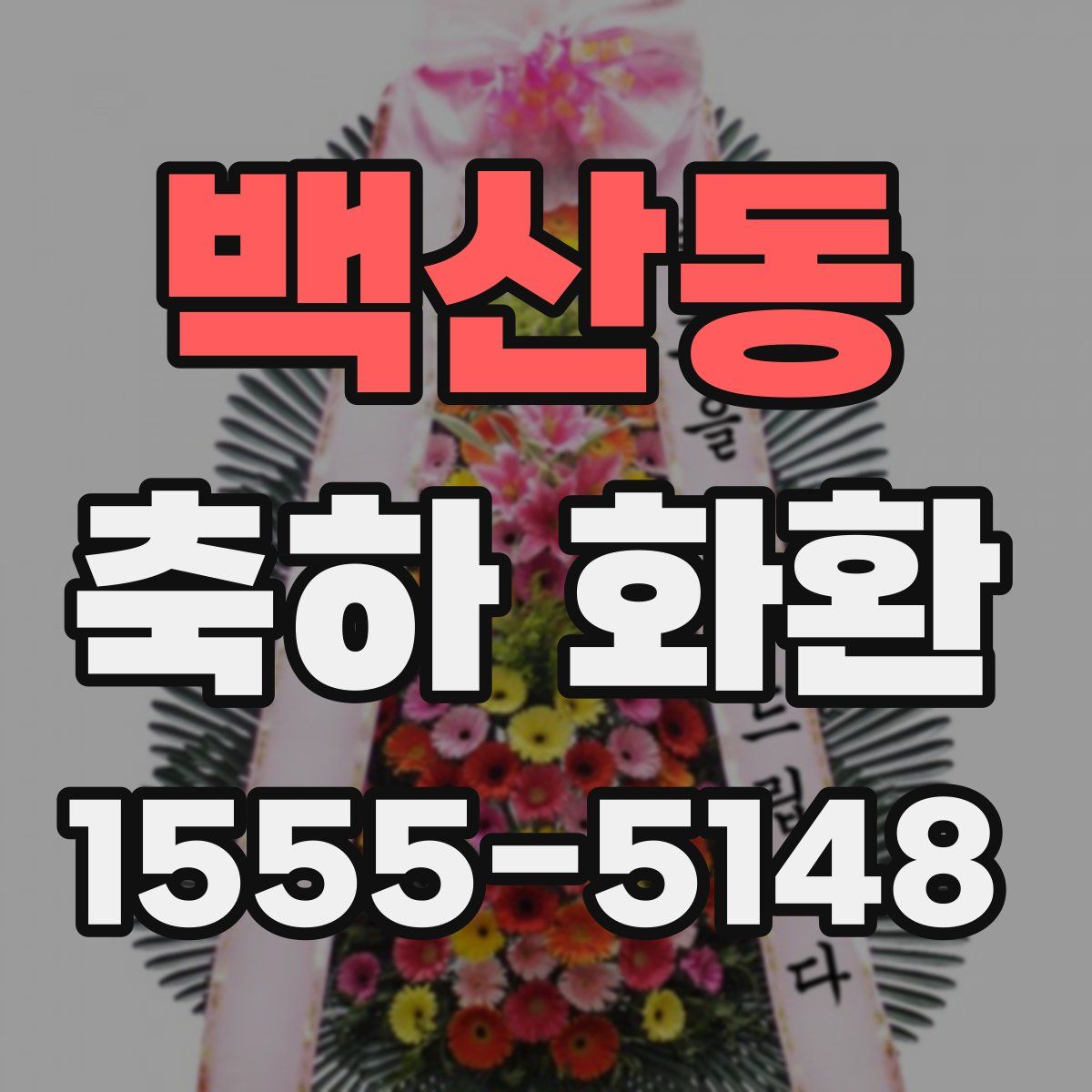 백산동 축하 화환