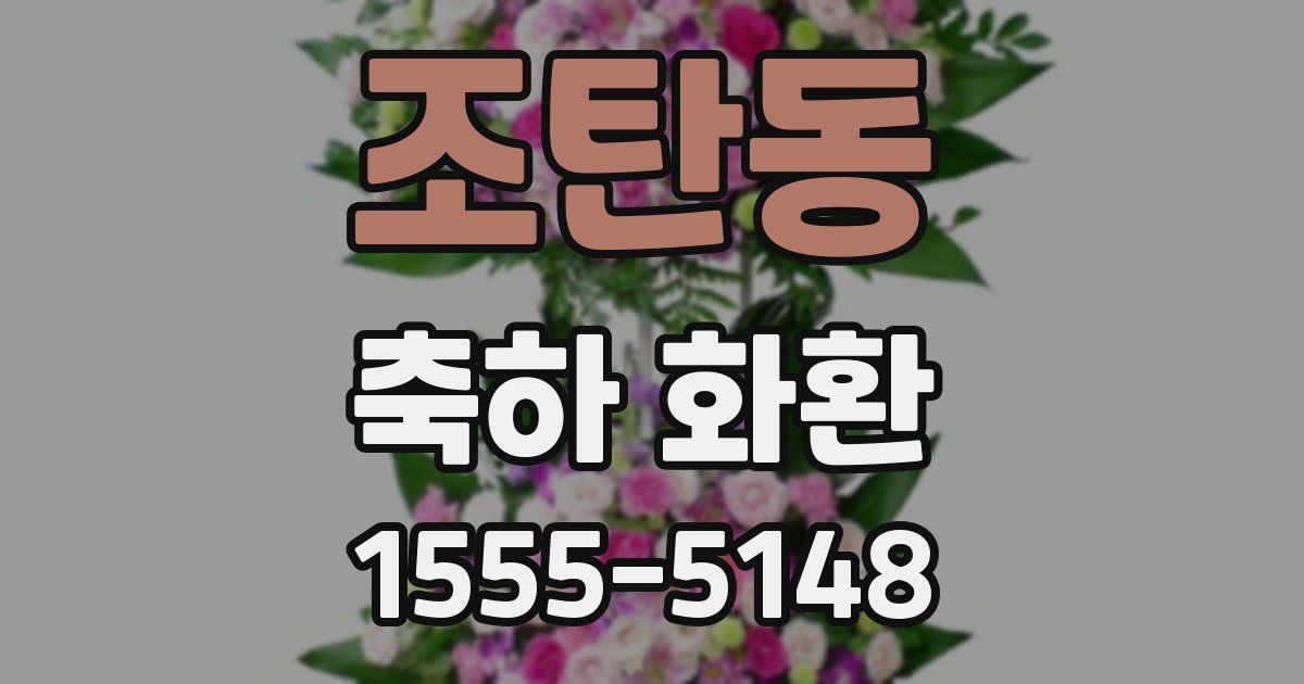 조탄동 축하 화환