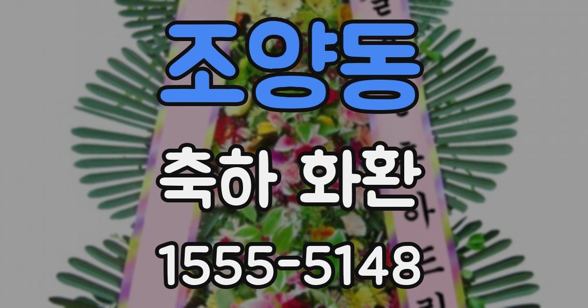 조양동 축하 화환