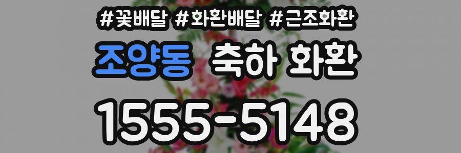 조양동 축하 화환