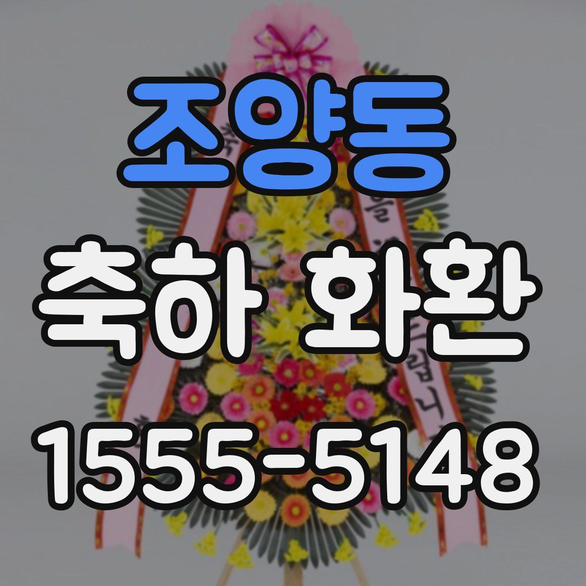 조양동 축하 화환