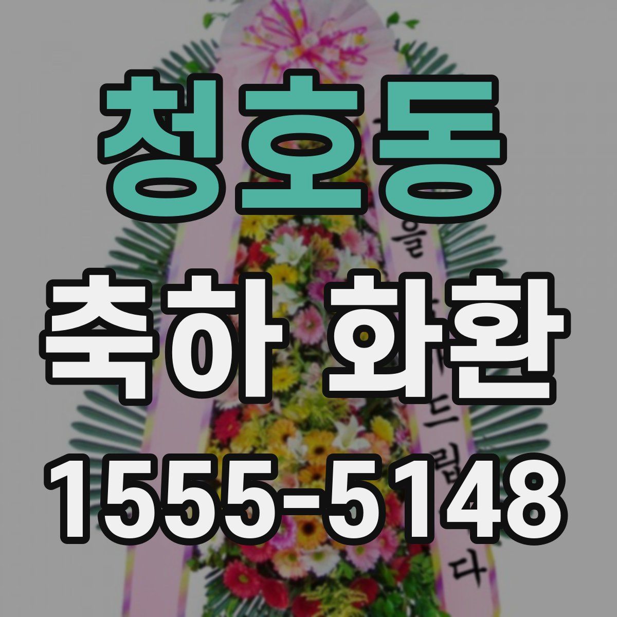 청호동 축하 화환