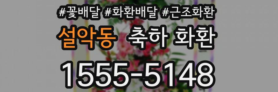 설악동 축하 화환