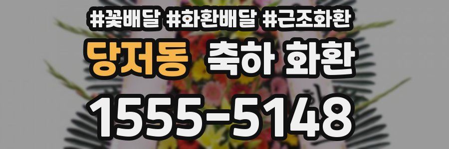 당저동 축하 화환