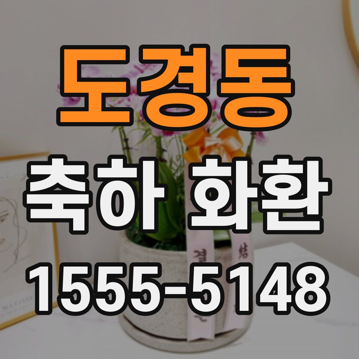 도경동 축하 화환