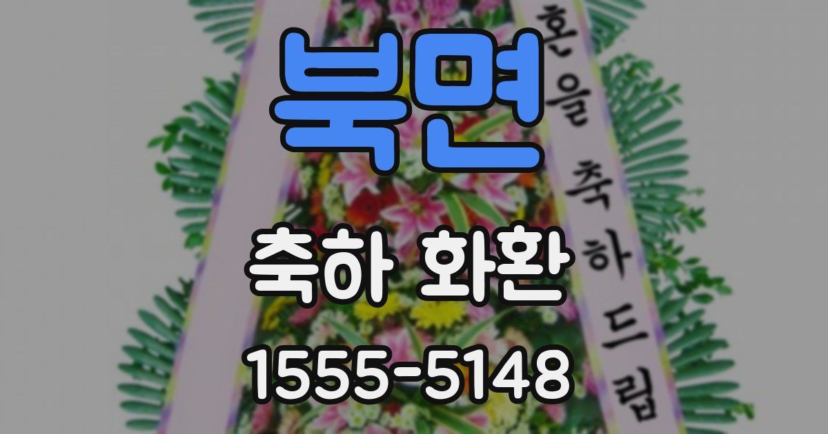 북면 축하 화환