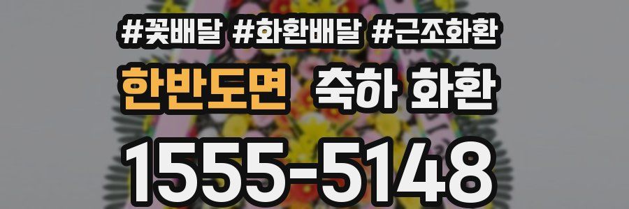 한반도면 축하 화환