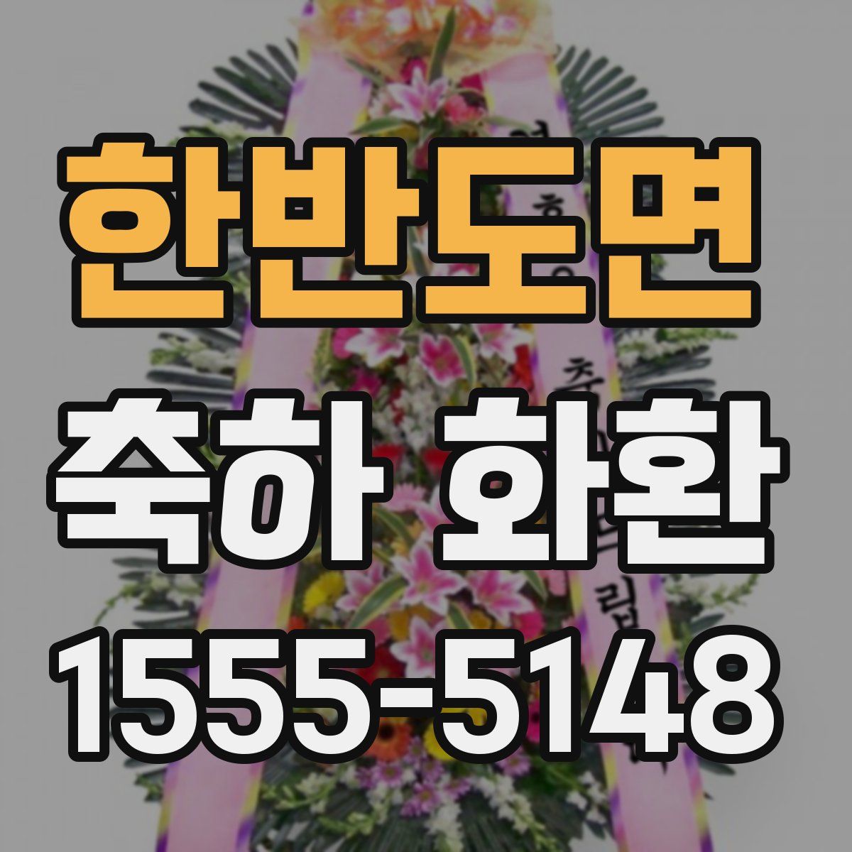 한반도면 축하 화환
