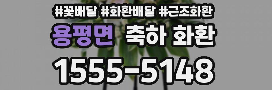 용평면 축하 화환