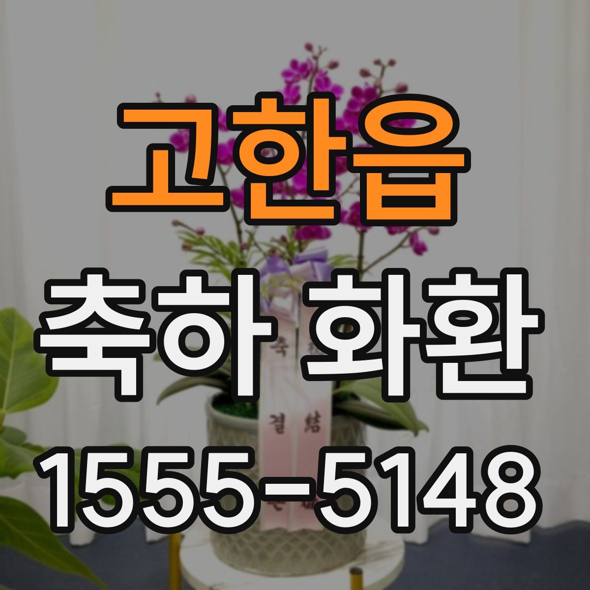 고한읍 축하 화환