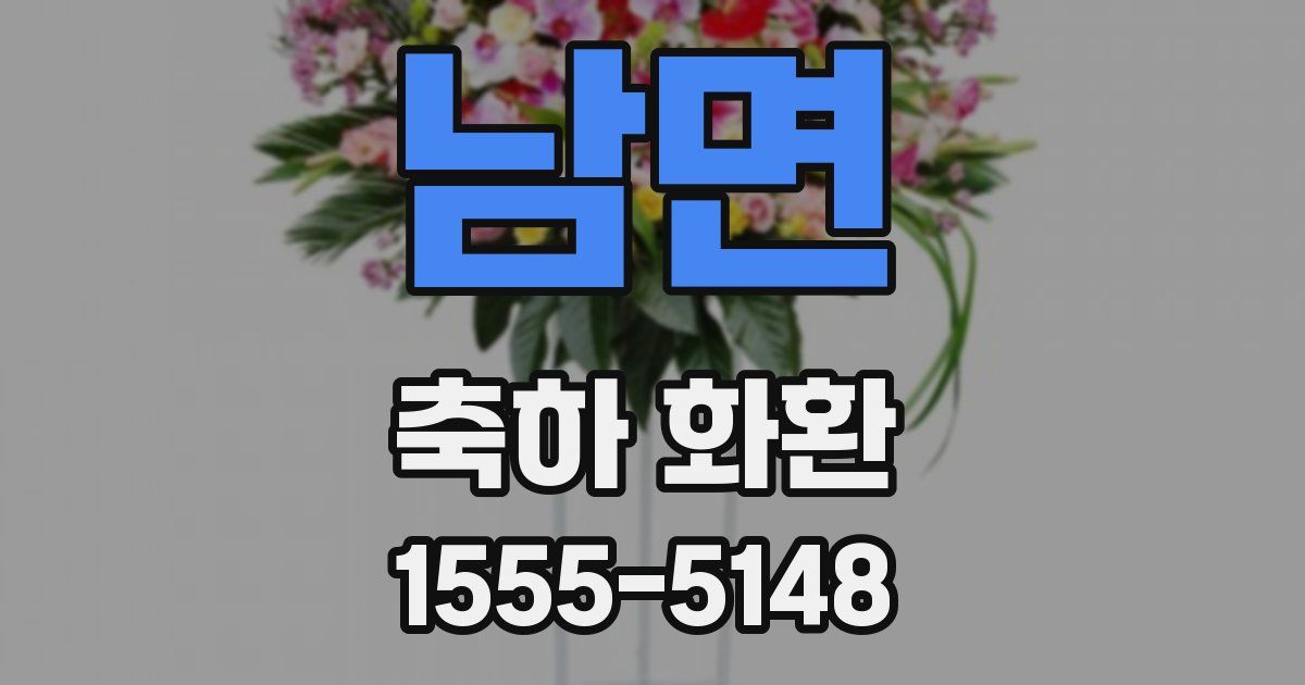 남면 축하 화환