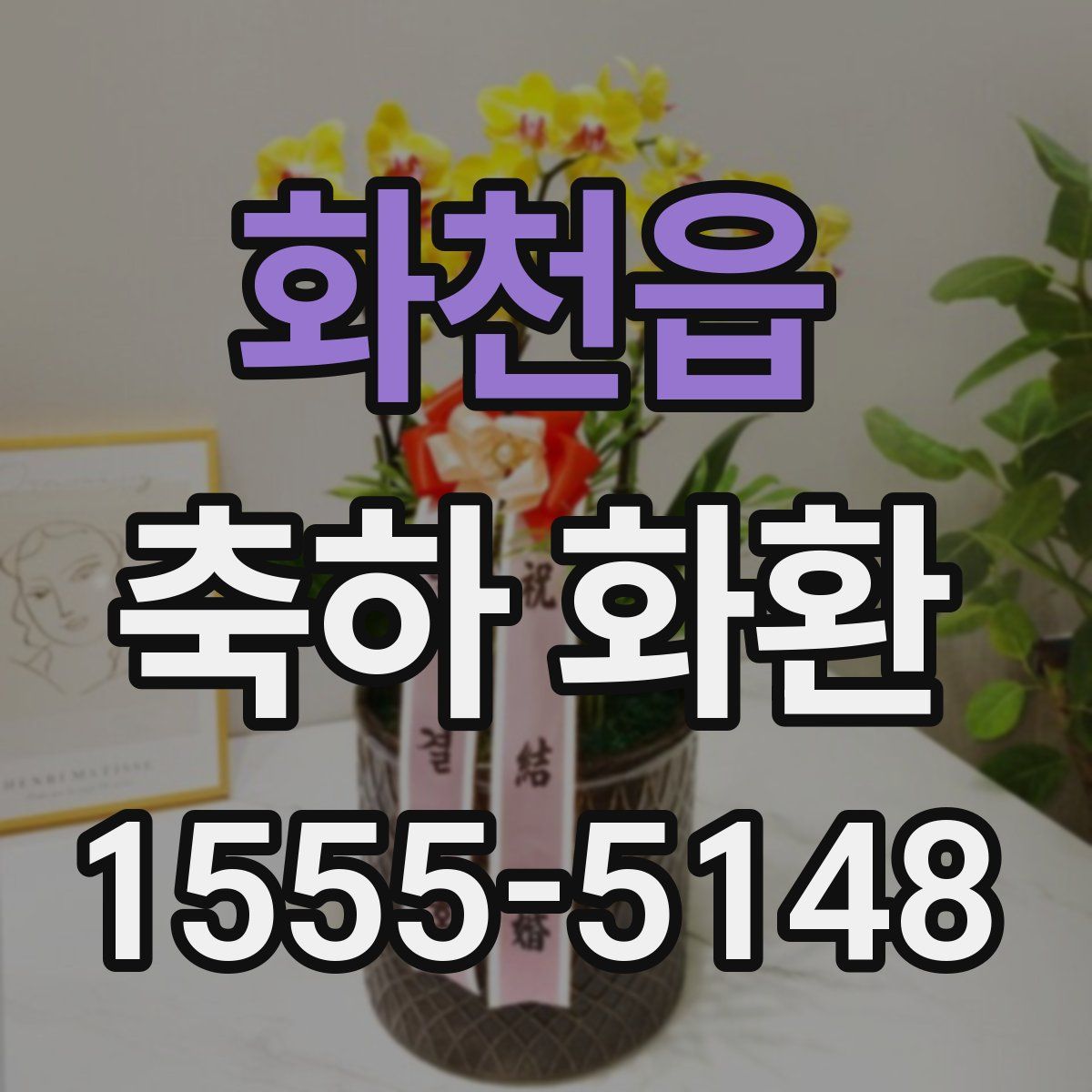 화천읍 축하 화환