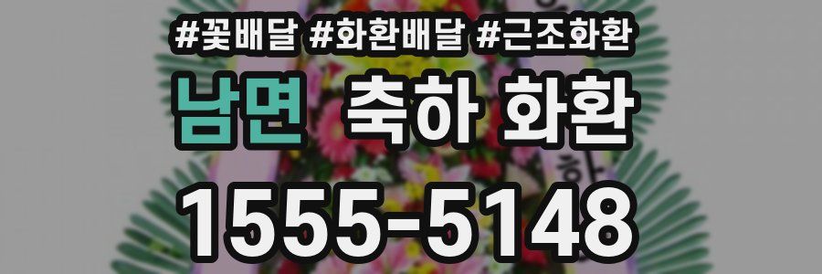남면 축하 화환