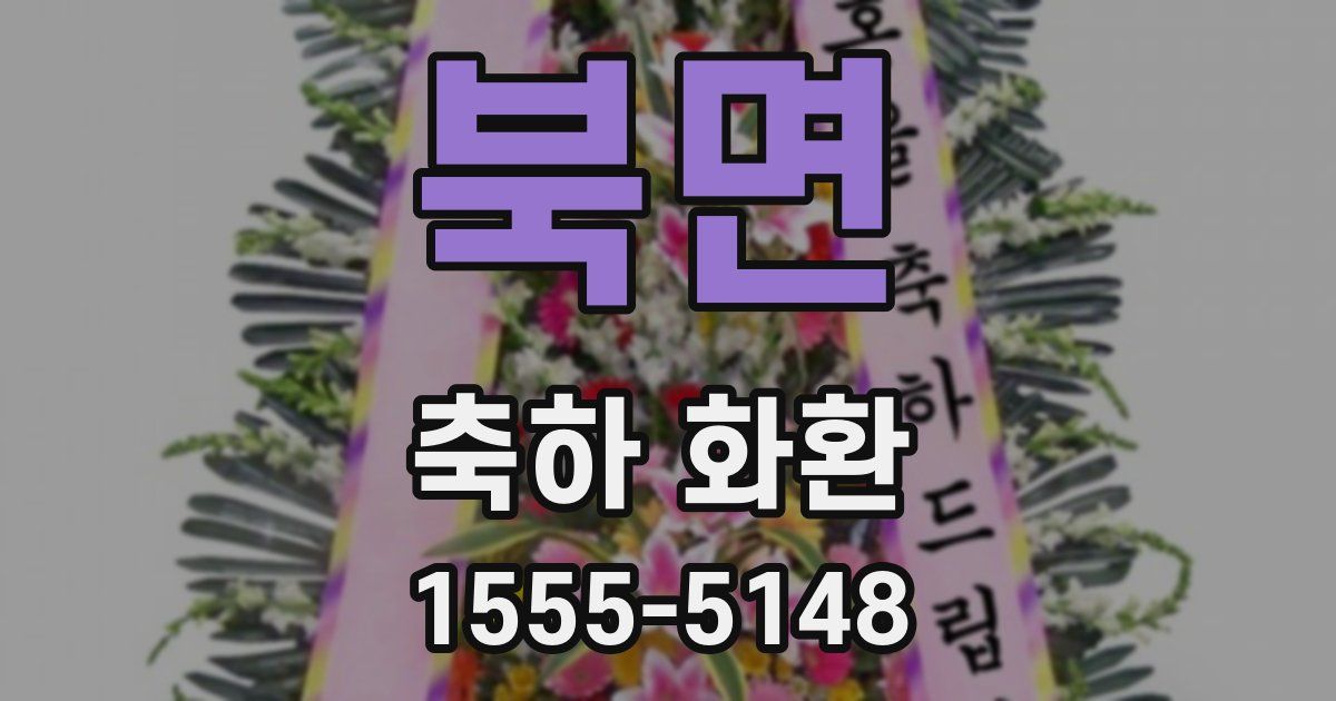 북면 축하 화환