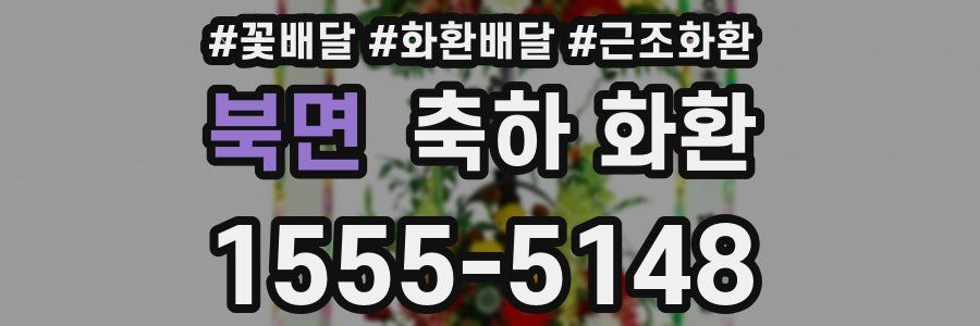 북면 축하 화환