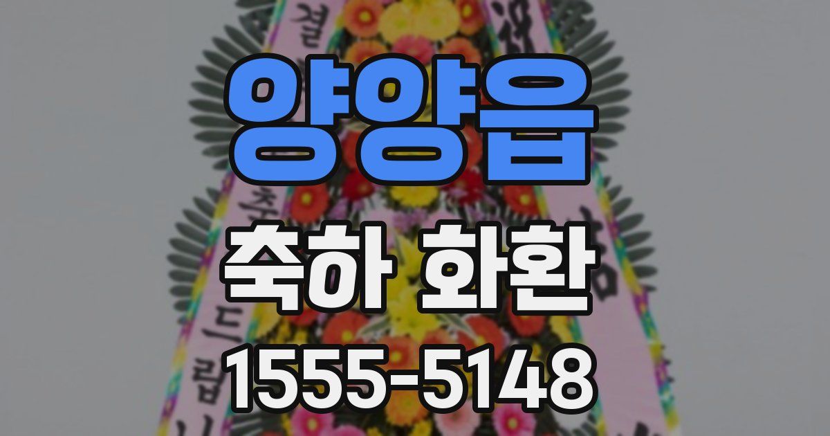 양양읍 축하 화환