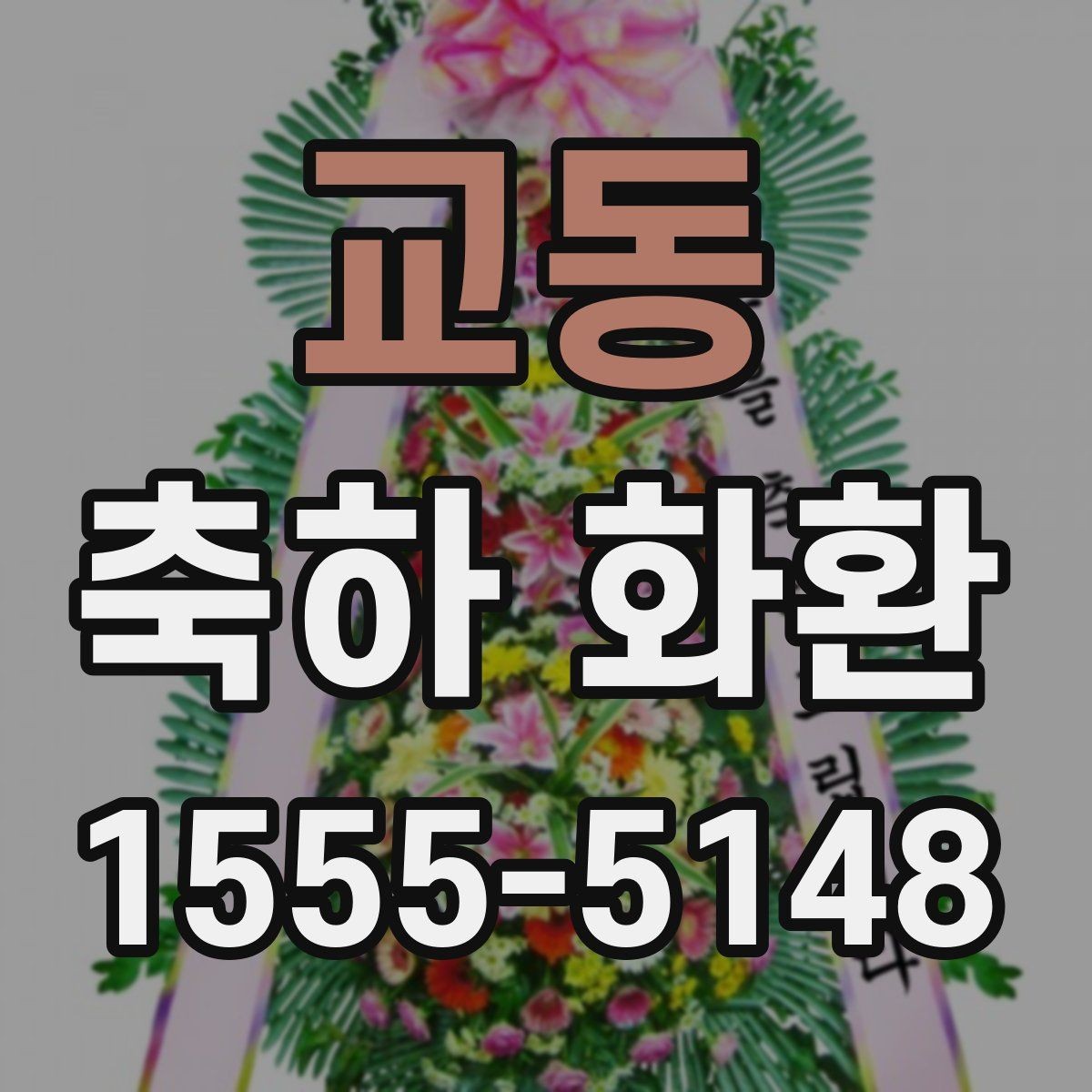 교동 축하 화환 비교 포인트를 한눈에 정리