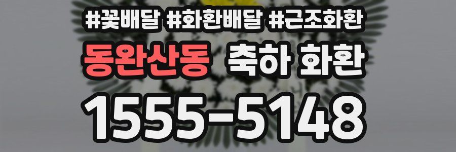 동완산동 축하 화환