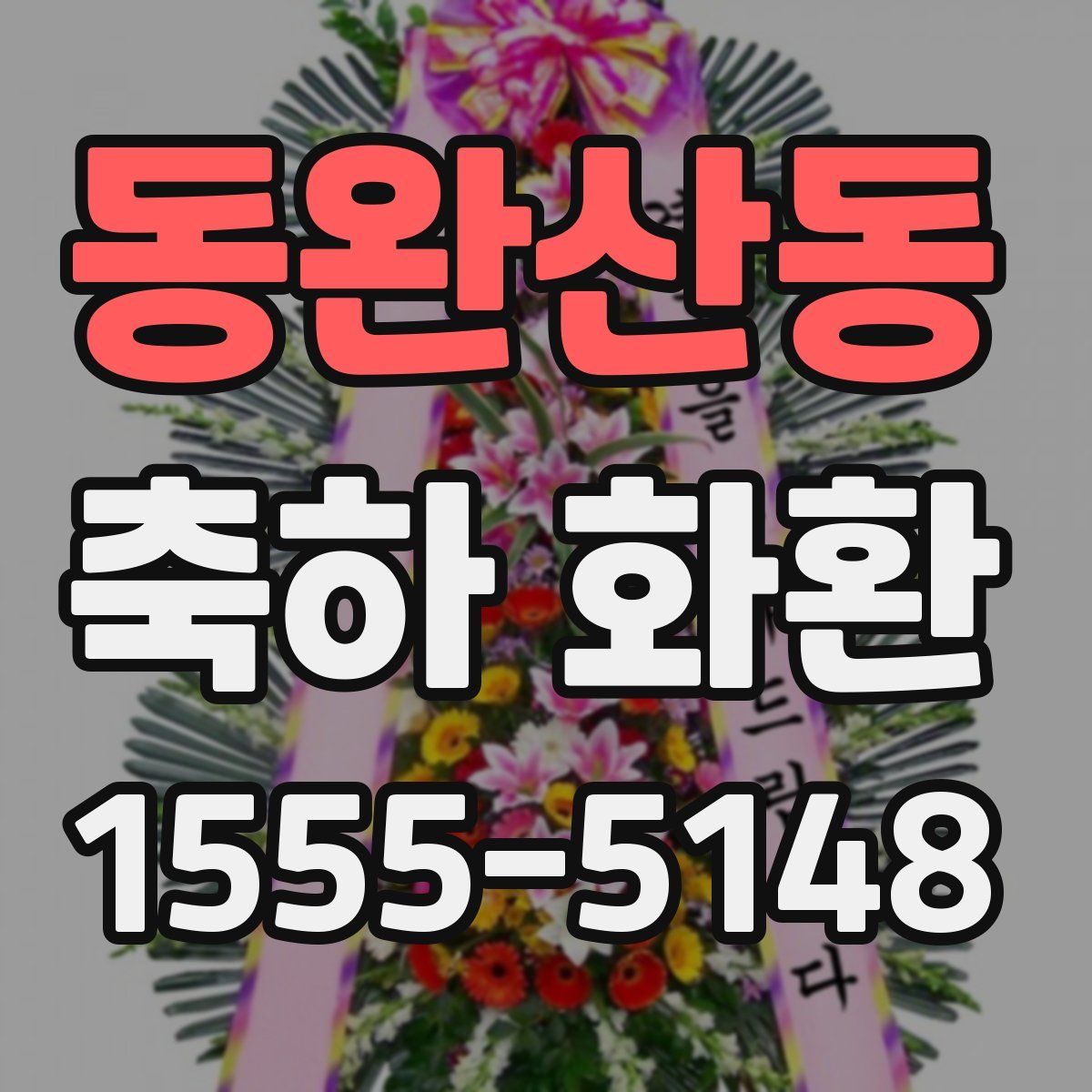동완산동 축하 화환
