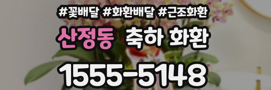 산정동 축하 화환