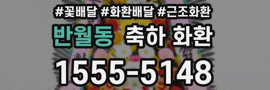 반월동 축하 화환