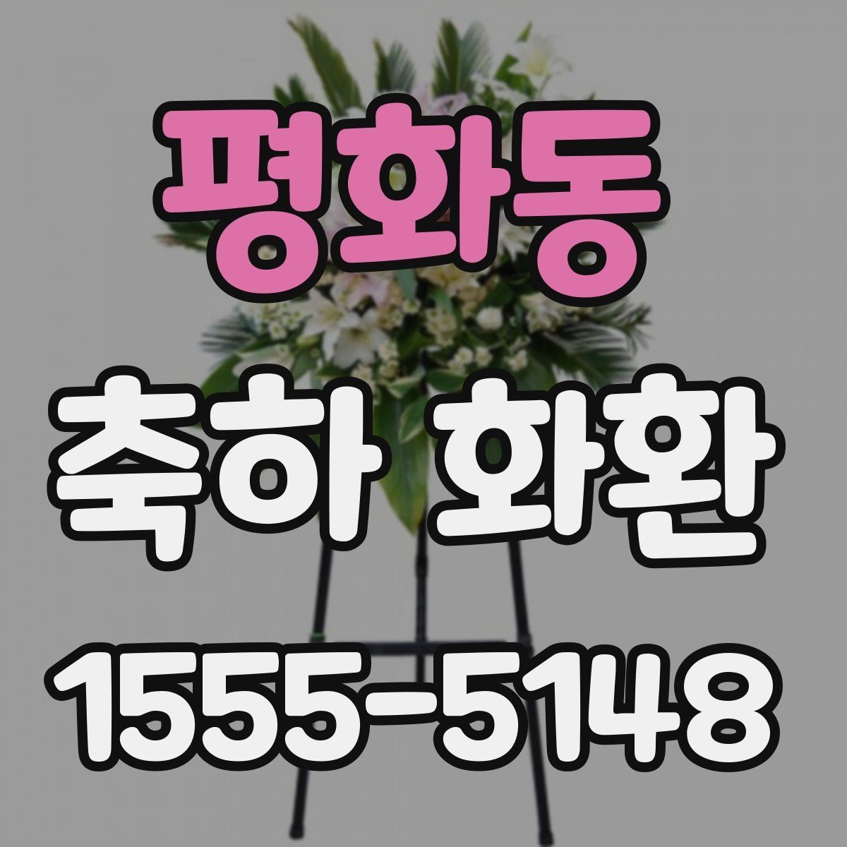 평화동 축하 화환 지역 배송 가능 범위 살펴보기